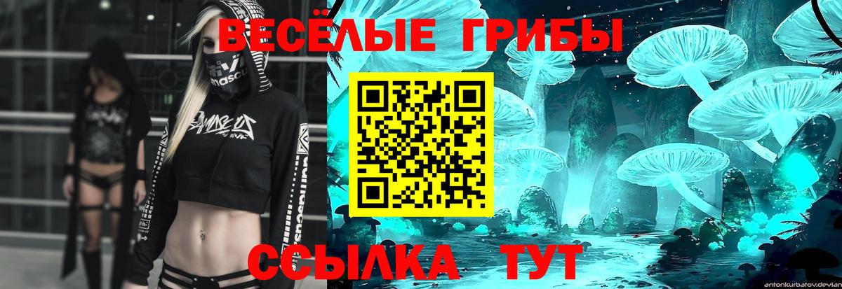 Галлюциногенные грибы мицелий Черногорск
