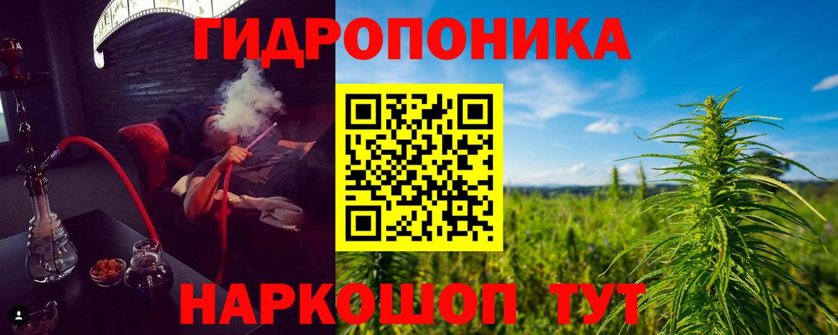 Шишки марихуана индика Черногорск